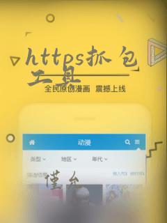 https抓包工具