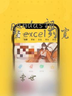 pandas调整excel列宽