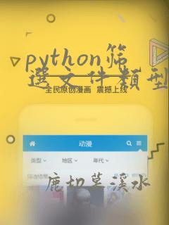 python筛选文件类型