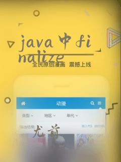 java中finalize