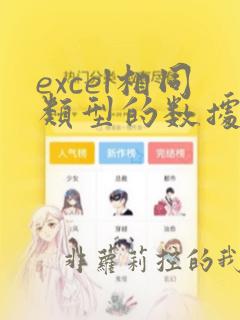 excel相同类型的数据求和