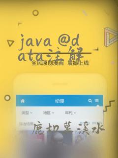 java @data注解