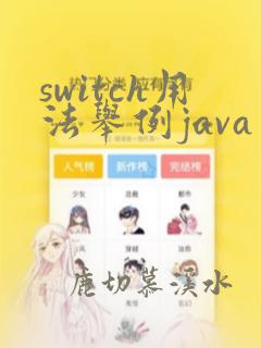 switch用法举例java