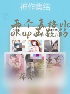 两个表格vlookup函数的使用方法及实例