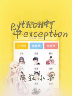 python打印exception