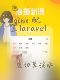 nginx 配置laravel