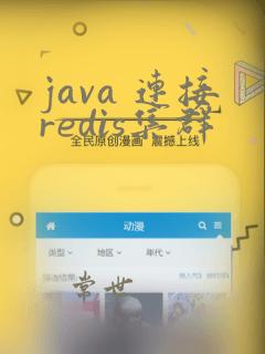java 连接redis集群