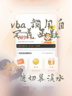 vba 调用自定义函数