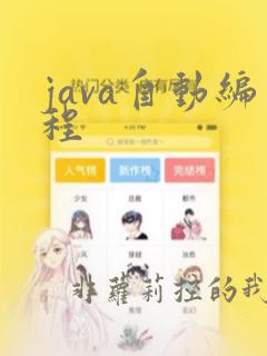 java自动编程