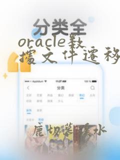 oracle数据文件迁移