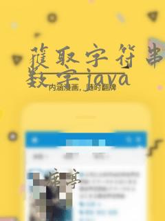 获取字符串中的数字java