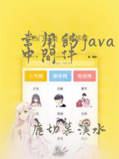 常用的java中间件