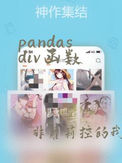 pandas div函数