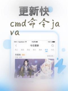 cmd命令java