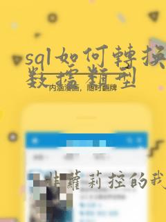 sql如何转换数据类型