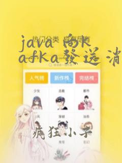 java 向kafka发送消息