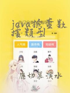 java检查数据类型