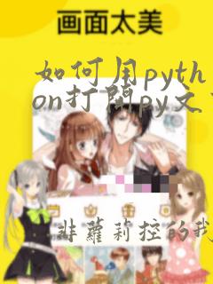 如何用python打开py文件