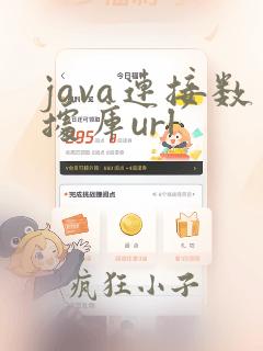 java连接数据库url