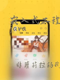 嵌入式工程师和java