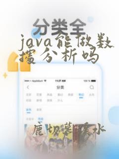 java能做数据分析吗