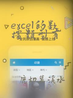 excel的数据类型有