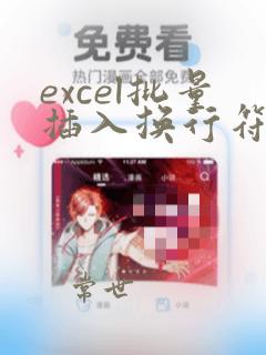 excel批量插入换行符