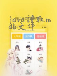 java读取mdb文件