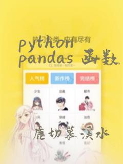 python pandas 函数