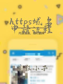 https域名申请流程