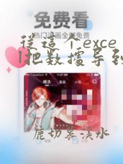 从这个excel把数据导到另一个excel