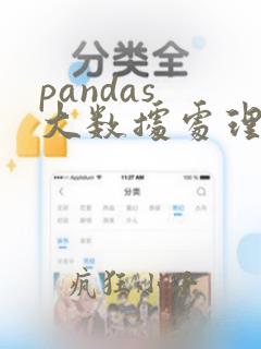pandas 大数据处理