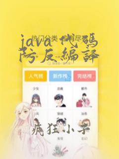 java 代码防反编译