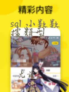 sql 小数数据类型