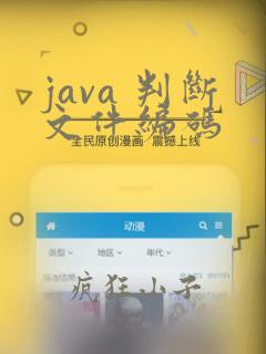 java 判断文件编码