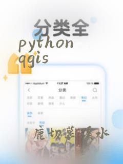 python qgis