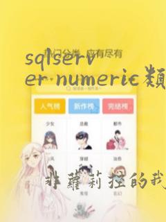 sqlserver numeric类型