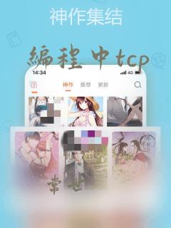 编程中tcp