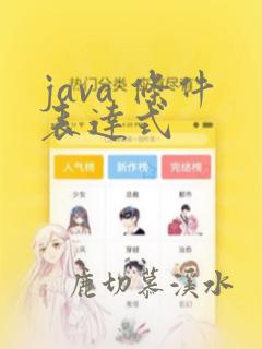 java 条件表达式