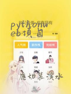 pythonweb项目