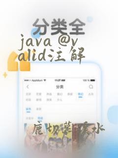 java @valid注解