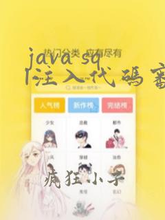 java sql注入代码审计