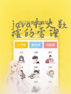 java对大数据的处理