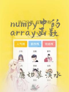 numpy中的array函数