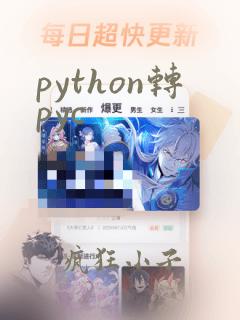 python转pyc