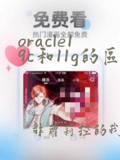 oracle19c和11g的区别