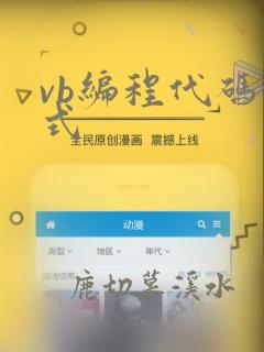 vb编程代码格式