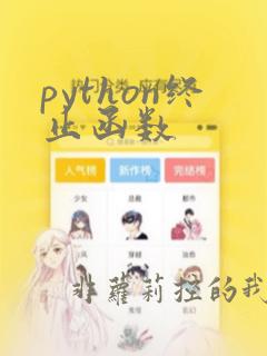 python终止函数