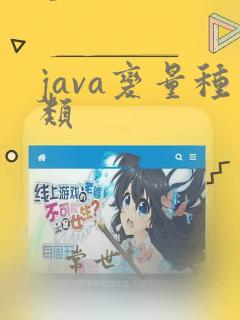 java变量种类