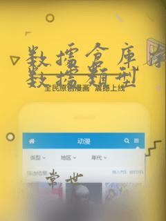 数据仓库存储的数据类型